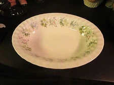 Minton Spring Valley 10-3/4" Oval Vegetable Bowl