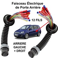 Scheide Strahl Kabel Verdrahtung Elektrisch Kabel TüR Hinter Links Recht Zafira