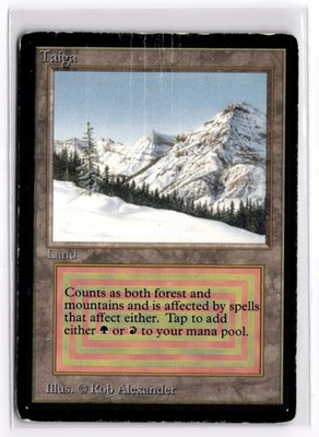 Beta Taiga DMG-HP x1 MTG Magic: the Gathering
