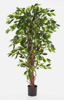 Artplants Deko Ficus Jarlan, 430 BläTter Und Lianenartigem Stamm, GrüN, 120Cm