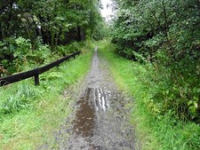 Foto 6x4 The Speyside Way Dufftown Spur cerca de Buchromb Wood Balvenie c2017
