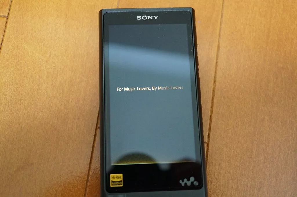 Sony Walkman NW-ZX2 B 128GB Audio Black Music Player Japan Used | eBay