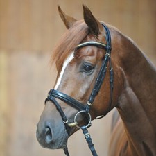 % Kavalkade Trense Angie schwarz UVP €95,00  %