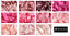 thumbnail 1  - Double Satin Ribbon Berisfords Pink Shades 8 Widths Short Lengths or Full Reel