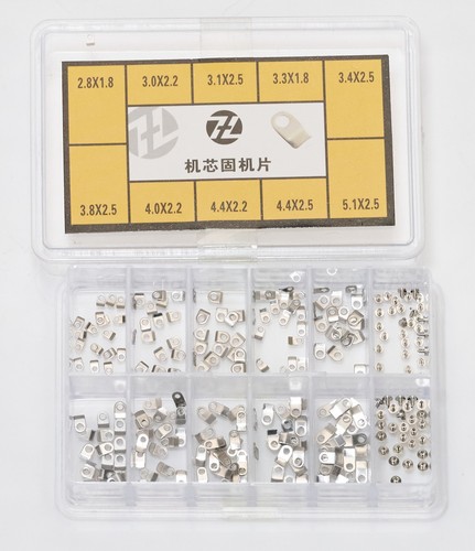 Orologiai Cassa Orologio Supporto Movimento Morsetti Schede e Viti Set Ricambi Acciaio - Foto 1 di 4