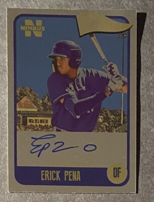 2020 Onyx Nimbus Silver Auto /325 Erick Pena #NAEP  Kansas City Royals