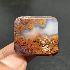 Scenic Moss Agate Cabochon 24x22x6mm High Quality 35 ct