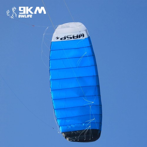 4sqm 4-Line Power Kite Outdoor Sports Traction Kite Professional Beginner Kite - Picture 6 of 8