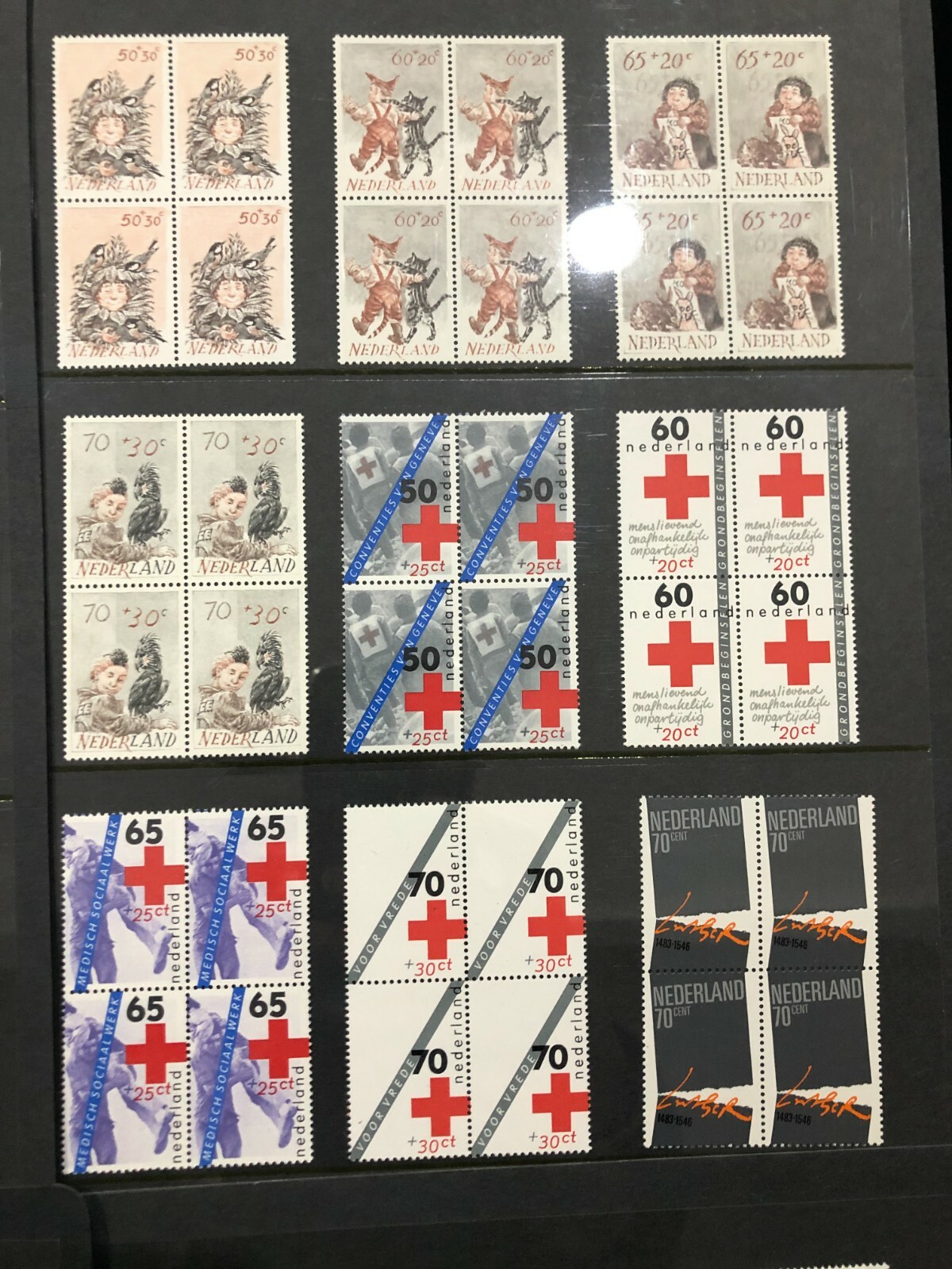 Picture 7 of 11