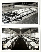 WWI vintage real photo postcards - barracks for 150 and "Company Clothesline"