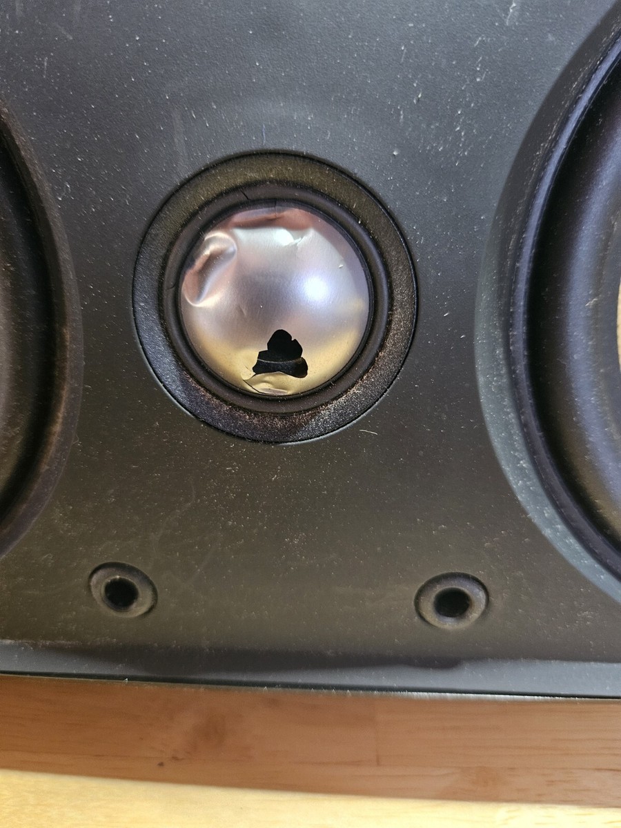 Bowers & Wilkins B&W XTC, 150W Center Speaker, DAMAGE | eBay