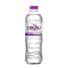 Ceysu Natürliches Quellwasser (24 x 0,5 Liter PET-Flaschen)