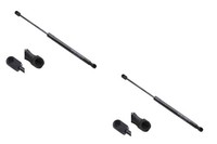 Gasfeder Passend FüR Renault Megane III 11/2008- Koffer Raum 2X