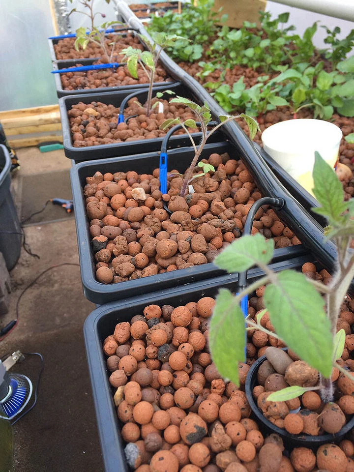 Dutch Buckets Pot Drip Growing Kit DWC Bato Bucket Hydroponic Complete System - image 4 of 4