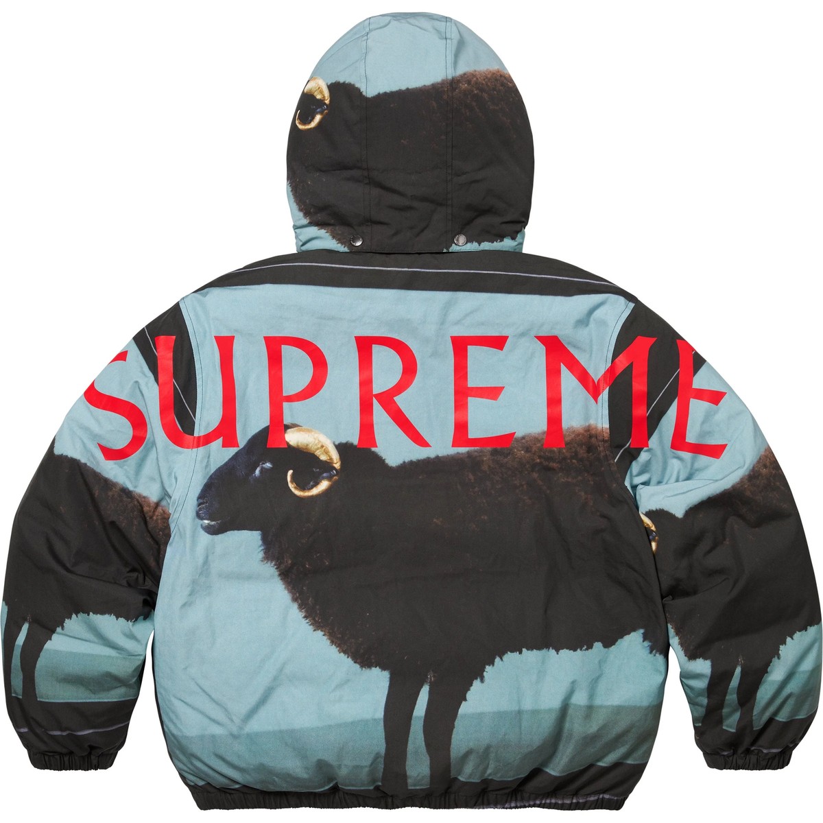 supreme × Damien Hirst S 最安値！ Supreme Damien Hirst Down Puffer Jacket Black | eBay