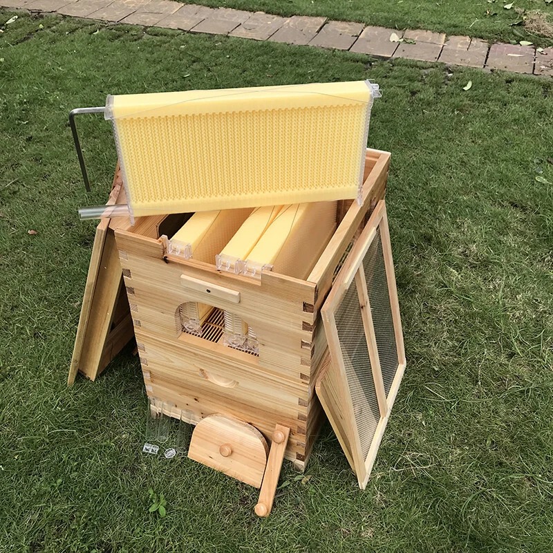 7 x Beekeeping Frames Bee Hive Frame for Auto Beehive House Honey Comb Boxes New - image 4 of 4