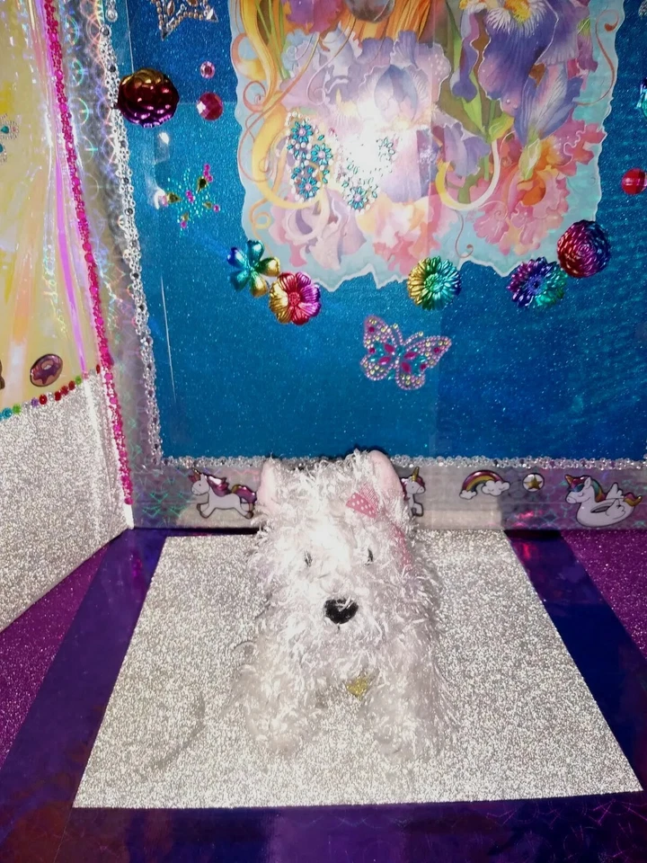 🦄Ganz / Webkinz Stringy "White Terrier" {Dog} w/Pink Bow #HM106 9" Plush!  - Image 3 of 4