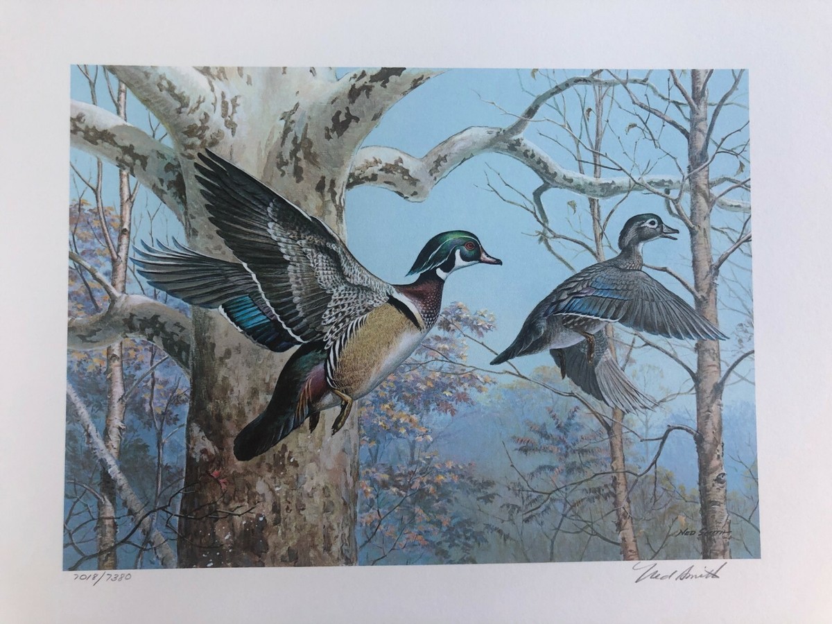 PENNSYLVANIA~1983~WATERFOWL MANAGEMENT~NED SMITH~LE 7,380~W