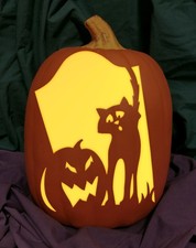 Scaredy Cats 