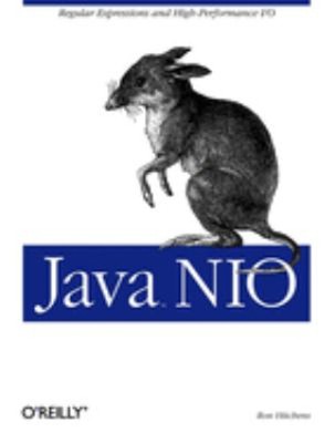 Java NIO : Regular Expressions and High-Performance I/o Paperback