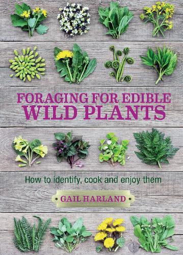 Gail Harland Foraging for Edible Wild Plants (Paperback) (UK IMPORT)