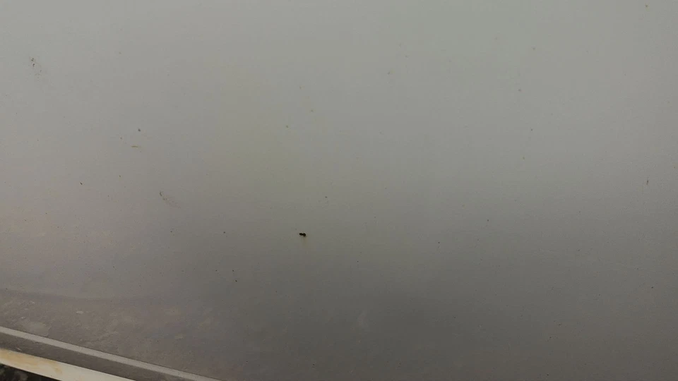 14 DODGE PICKUP 1500 Front Door Drivers Side (No Shipping) Foto 3 de 4