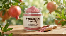 Pomegranate Fruit Extract powder