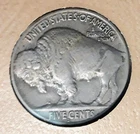 1925-S Buffalo Nickel nice full horn filled S
