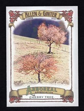 2021 topps Allen & Ginter arboreal appreciation cherry tree card#AA-8