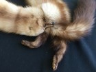 Bild 5 von 13