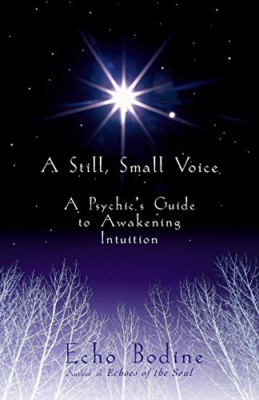 A Still Small Voice: A Psychic's Guide to Awakening Int - Paperback NEW Bodine,