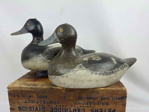Excellent Bluebill Pair Of Duck Decoy By Gus Nelow Omro, Wi. Exceptional