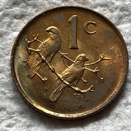 1985 South Africa 1 cent Coin Cape Sparrows on Branch Bird Animal Wildlife