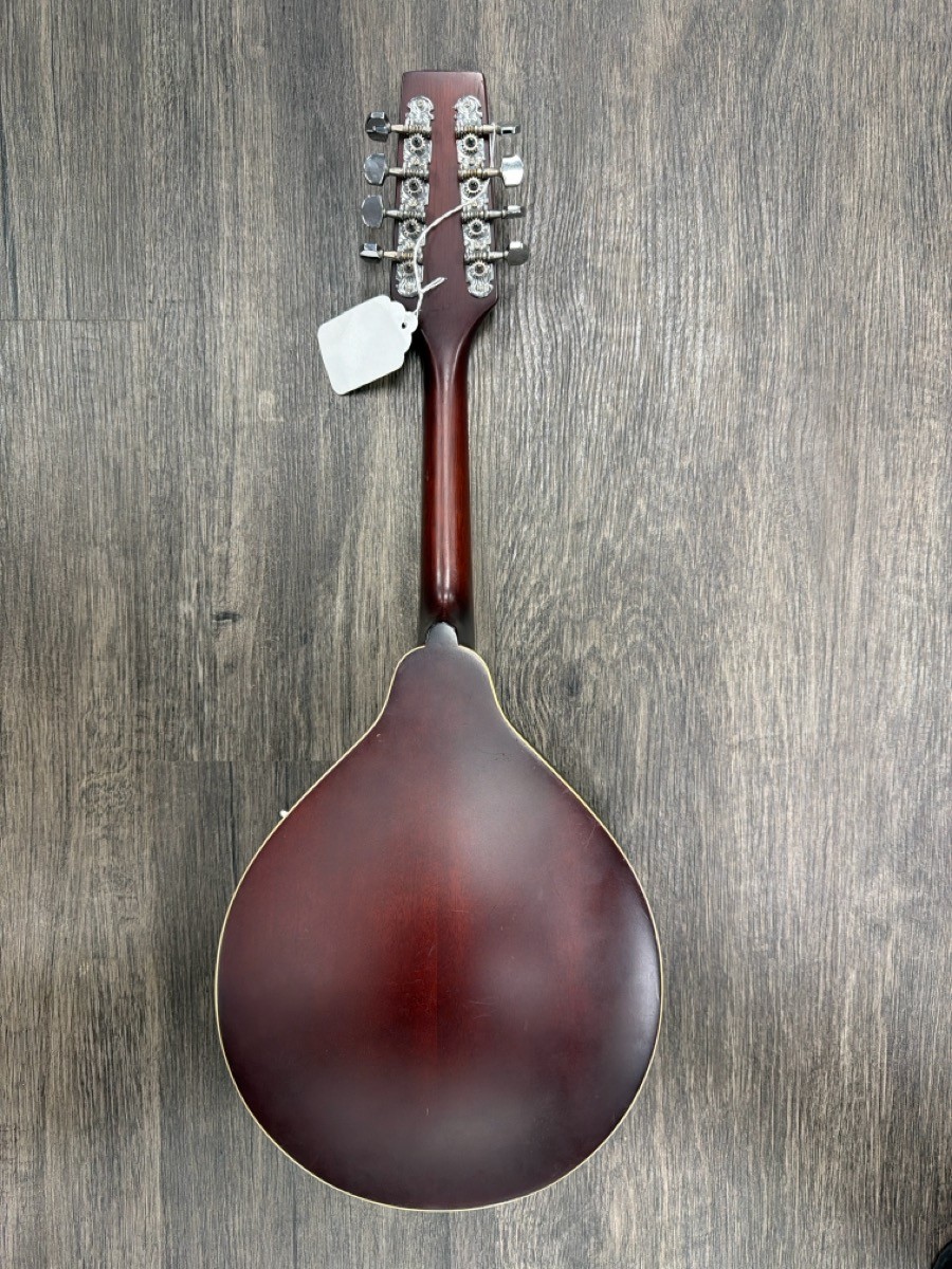 MORGAN MONROE BEAN BLOSSOM MANDOLIN W/CASE (B03092657) | eBay