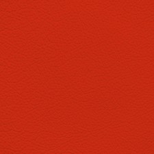 GM Torch Red Leather Dye