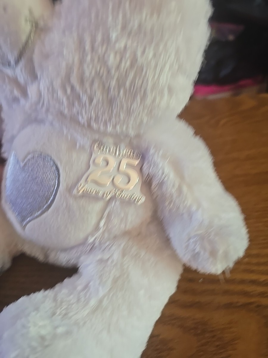 Care Bears 25th Anniversary Bear 687203302782| eBay