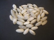 45 pcs matched big banded WHITE AGATE STONE trade beads old focal tribal African