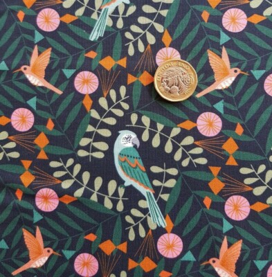 Dashwood Studio 'Our Planet' Papageien
