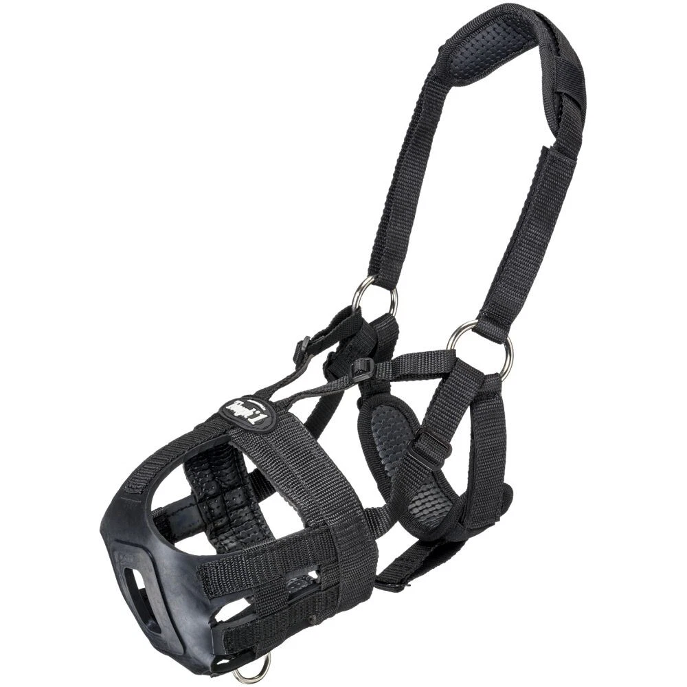 Miniature top horse muzzle