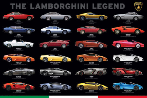 THE LAMBORGHINI LEGEND 24 Modèles 1964-Présent Supercar Officiel 24x36 AFFICHE - Photo 1 sur 1