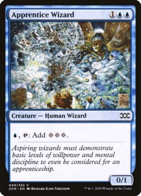 MTG Magic the Gathering Apprentice Wizard (40/503) Double Masters LP