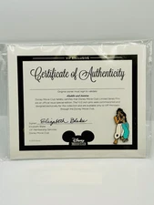 Disney Movie Club Pin 2015 VIP Exclusive Aladdin & Princess Jasmine Authentic