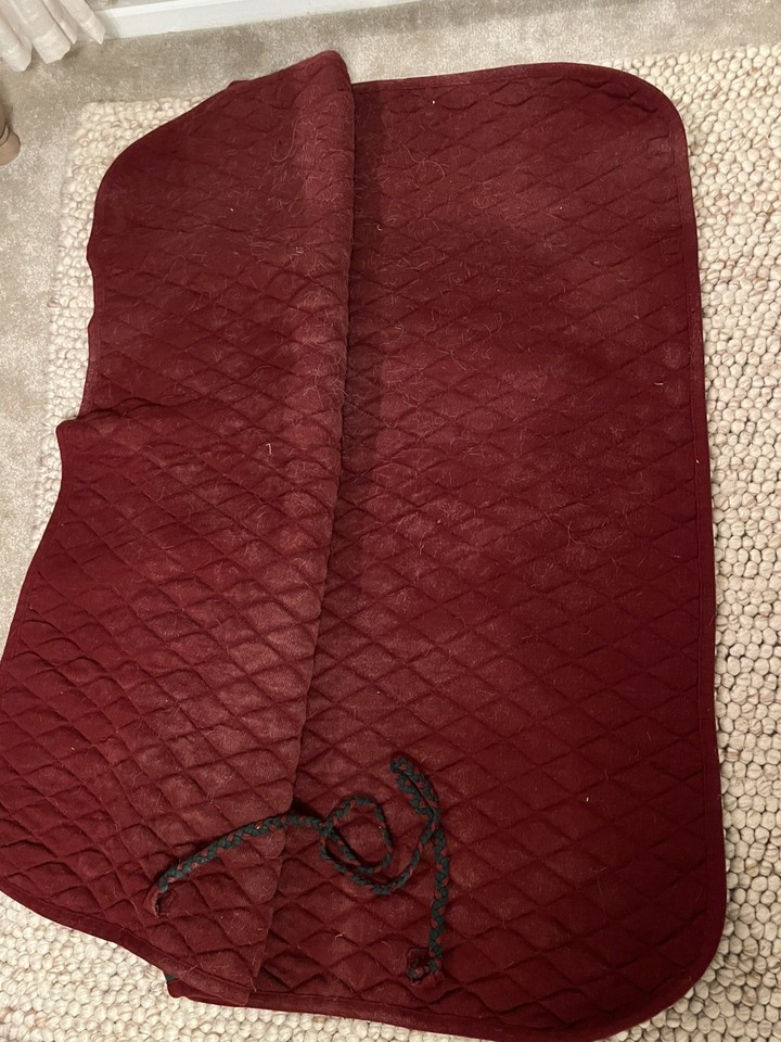 Thermatex style Exercise Rug - 46 inch from girth straps loop some ...