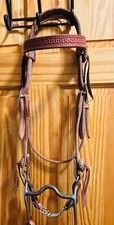 Heavy Duty Leather Headstall with medium port curb bit