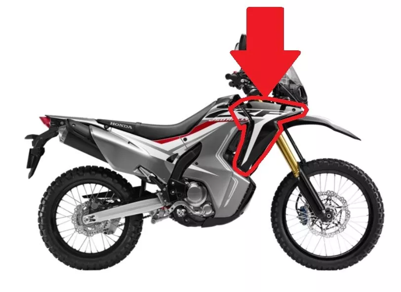 250 honda rally online