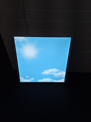 48W SKY mit SONNE LED Deckenpanel Wolkenszene Einbauleuchte 600 x 600