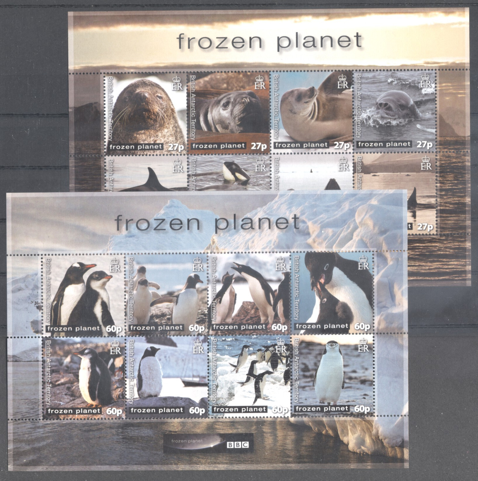 (704626) Penguin, Whale, Seal, Killer Whale, Frozen Planet, Br.Ant.Territory
