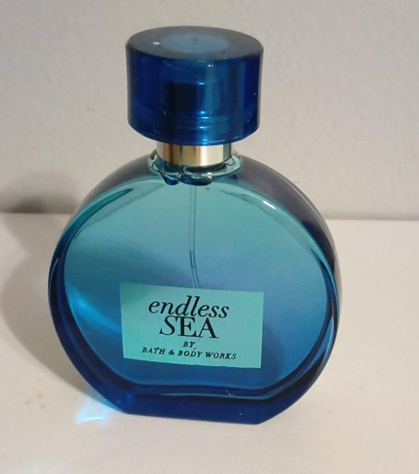 Bath Body Works ENDLESS SEA Eau De oz dual travel