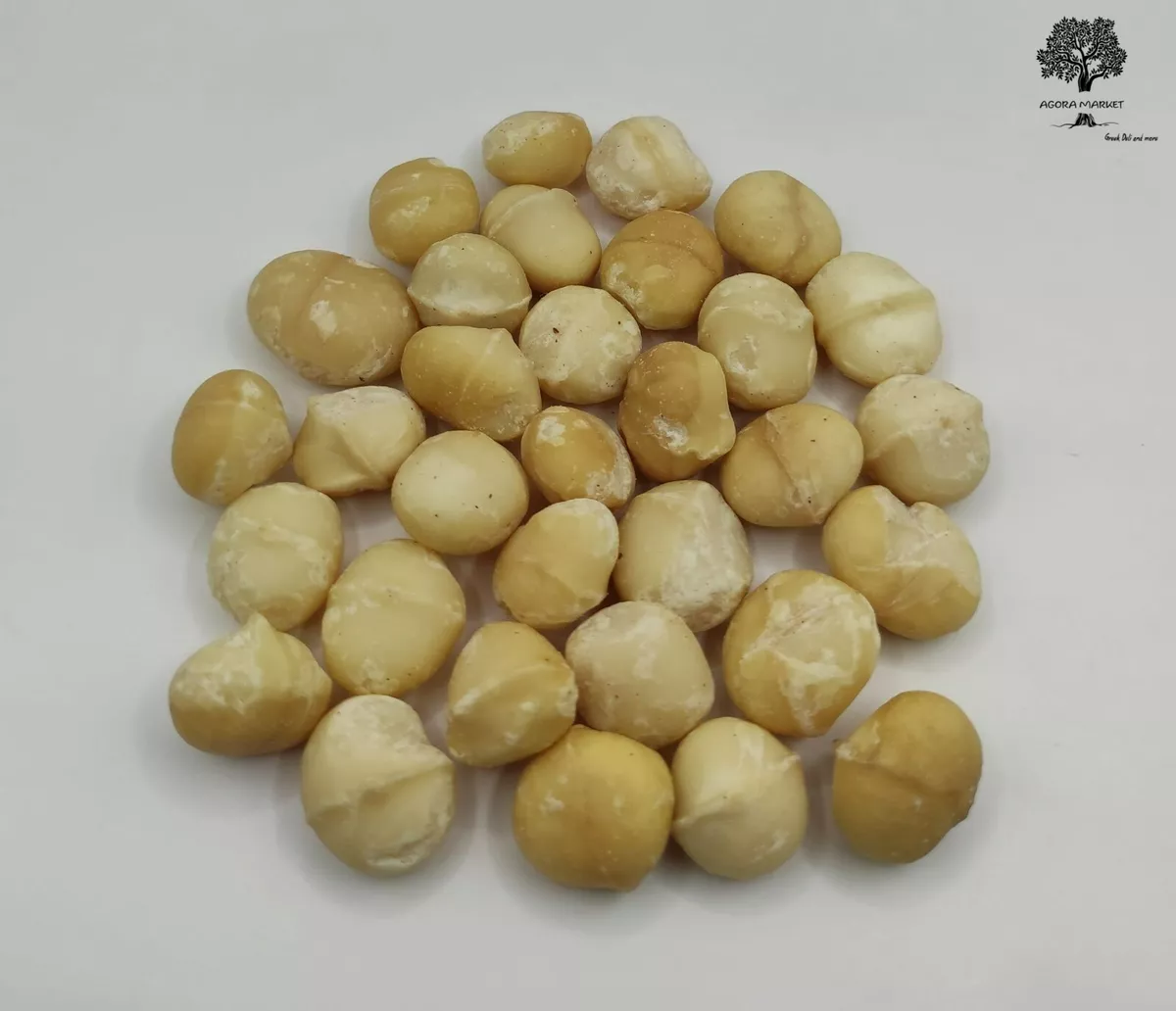Macadamia nuts 2024