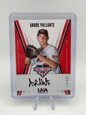 2019 USA Stars & Stripes College Signatures Black Ink #CNT-AP Andre Pallante